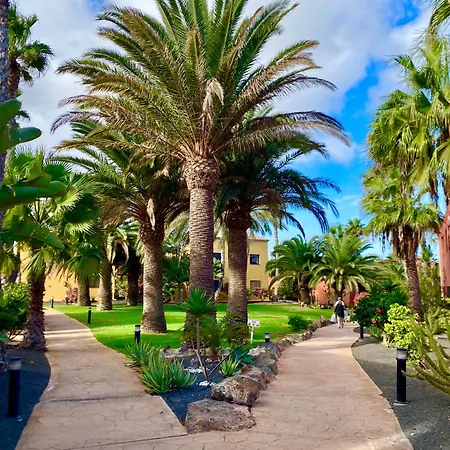 Daire Casa Oasis Tamarindo Corralejo