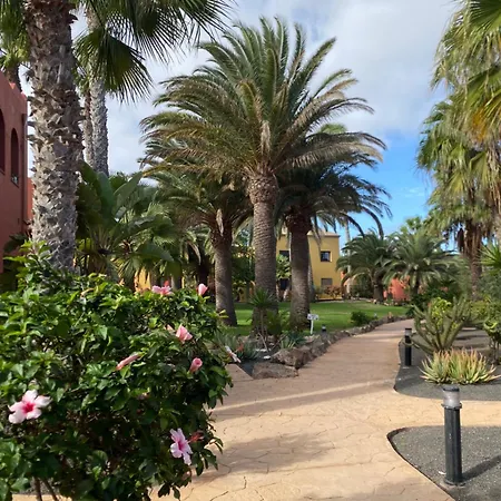 Appartement Casa Oasis Tamarindo Corralejo