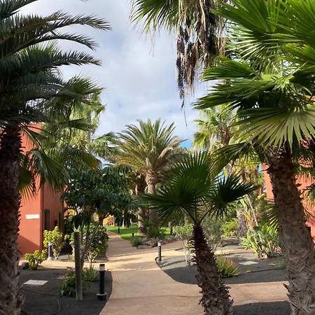 Casa Oasis Tamarindo Corralejo