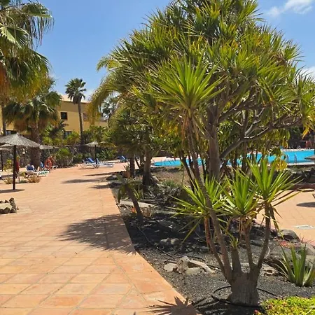 Daire Casa Oasis Tamarindo Corralejo